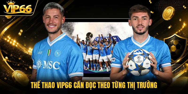 Thể thao Vip66 cần đọc theo từng thị trường